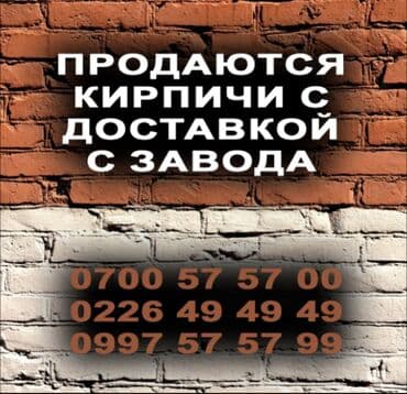 раздаточный стол: Пустотелый, дырчатый, Жженый кирпич, Полублок, 250×120×90 — 5