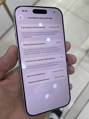 macbook pro 2017: IPhone 17 Pro, Б/у, 256 ГБ, Серебристый, Коробка, В рассрочку, 100 % — 4