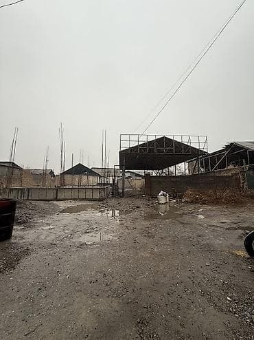 участок сатуу: 3 соток, Бизнес үчүн, Кызыл китеп — 4