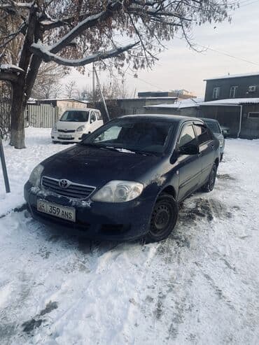 Toyota Corolla: 2004 г., 1.6 л, Механика, Газ, Седан