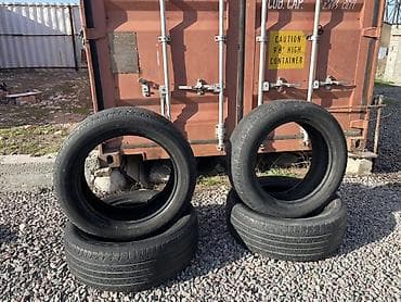 Шиналар 205 / 55 / R 16, Жай, Комплект, Dunlop