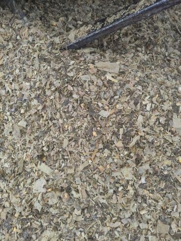 Айыл-чарба жаныбарлары: Силос 8. сом кг только оптом с выше 10 тонн адрес совхоз Фрунзе — 4