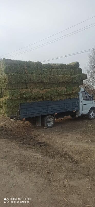 Грузовик, ГАЗ, Стандарт, 4 т, Б/у