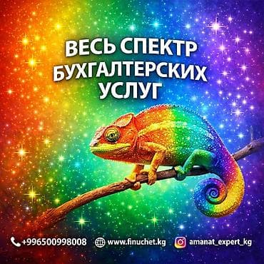 Бухгалтерские услуги | Ведение бухгалтерского учёта, Консультация, Юридическое сопровождение