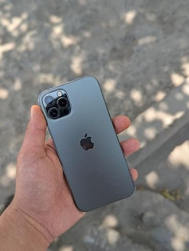 iphon 14: IPhone 12 Pro, Графит, Чехол — 3