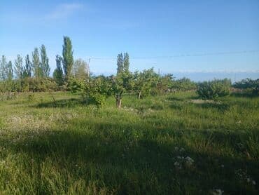 уборка садового участка: СРОЧНО ПРОДАЮ участок 1,5гаили меняю на квартиру в Бишкеке. Участок — 11