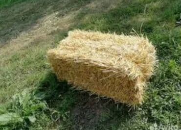 переноска для животных: Тюки ячменя по 180с 200шт . г. каинда Панфиловском районе — 1