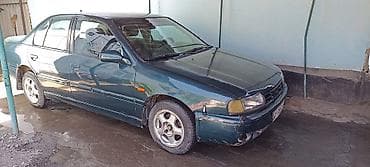 accord 6: Nissan Primera: 1996 г., 1.6 л, Механика, Бензин, Седан — 3