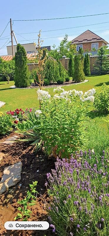Дома: 🏡 ПРОДАЁТСЯ ОСОБНЯК В АРЧА-БЕШИК ✨ Дом, построенный для себя— — 2