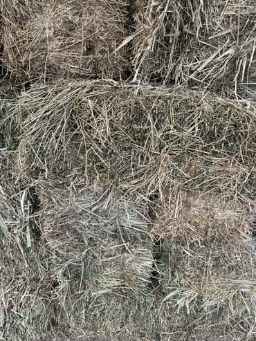 Сено в тюках - Прямоугольные тюки, плотное прессование, удобны для