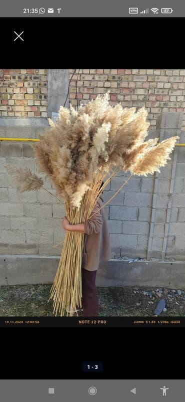 цветы на продажу: Букет из сухоцветов с вазой из ламината Создайте уют и стиль в вашем — 4