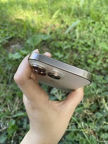 pro 11: IPhone 16 Pro, 256 ГБ, 90 % — 6