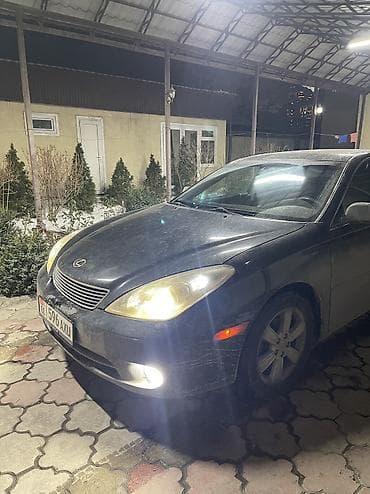 бизнем: Lexus ES: 2004 г., 3.3 л, Автомат, Газ, Седан — 2