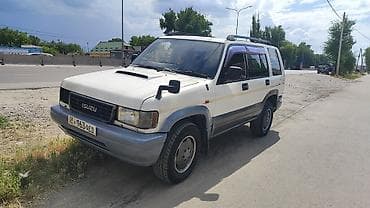 4 вд: Isuzu Bighorn: 1999 г., 3.1 л, Автомат, Дизель, Внедорожник — 1