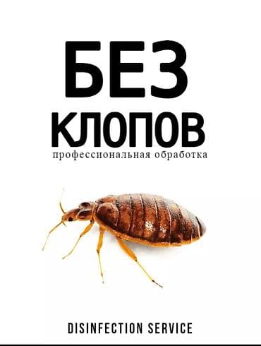 Клининговые услуги: Дезинфекция, дезинсекция, | Клопы, | Транспорт, Квартиры, Дома — 1