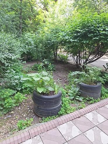 house: 2 комнаты, 45 м², Индивидуалка, 1 этаж, Евроремонт — 3
