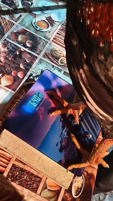 клетки для птицы: Продаю | Петух | Для разведения — 6