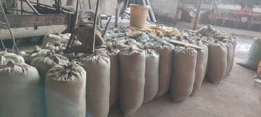 продаю в связи с переездом: Продаю сухую кукурузу в зёрнах сорт Пионерготовые уже затареные в — 6