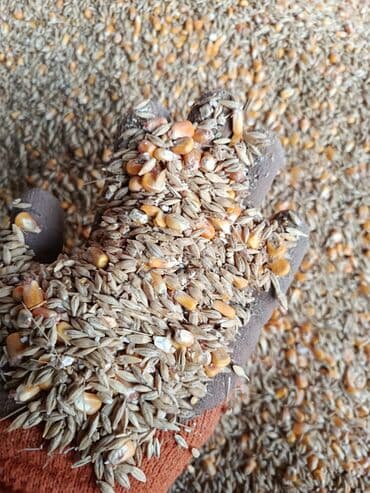 наполнитель для животных: Арпа буудай жмых сафлор жугору - ячмень - пшеница - кукуруза Фракция — 2