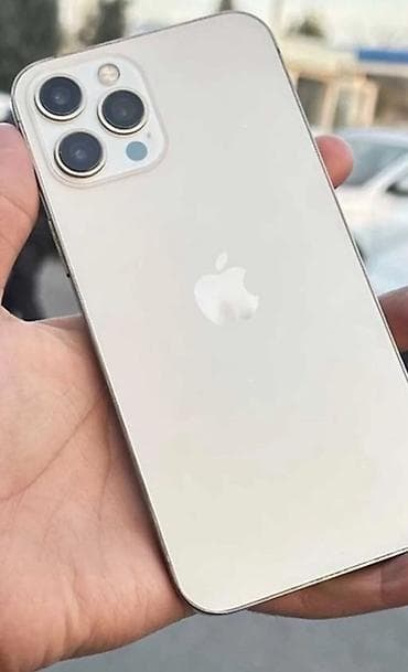 apple iphone 11 pro max: IPhone 12 Pro, 256 ГБ, Серебристый — 1