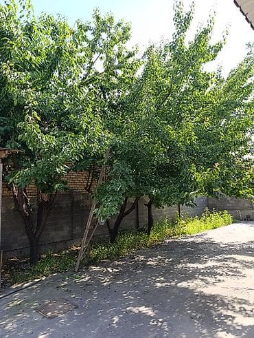 Дома: Жер үй сатылат 6 сотых, 5 комната ремонту орточо, суу,газ, отопления — 3