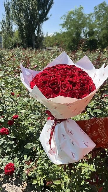 Букет из красных роз 
Принимаем заказ.
51 шт 1000 сом 101 шт 1500 сом — 2