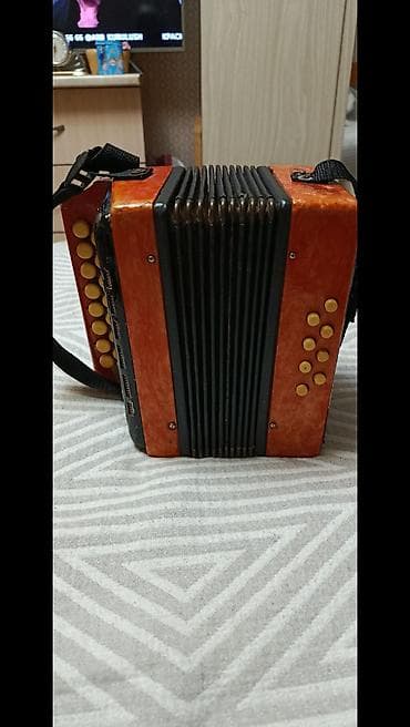 Комузы: Детская кнопочная гармоника (мини-аккордеон).Размер21/21 - Компактный — 1