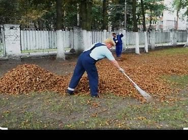 Уборка помещений: Уборка территории, Уборка двора и сада — 1