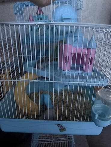 куплю хомяка: Клетка для хомяка с игровым комплексом С хомячком - Двухуровневая — 1