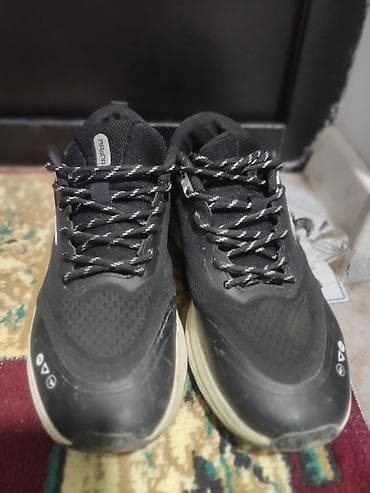 Моада абалы жакшы бир эле носу бар жыртыгы жок жакшы