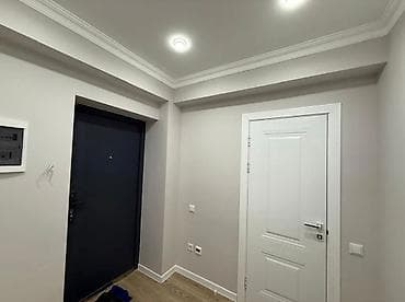 610: 1 комната, 46 м², Ак-Орго ж/м Элитка, 6 этаж, Свежий ремонт — 8