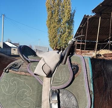 Кошки: Национальное конское седло тканево-кожаное - Традиционная — 4