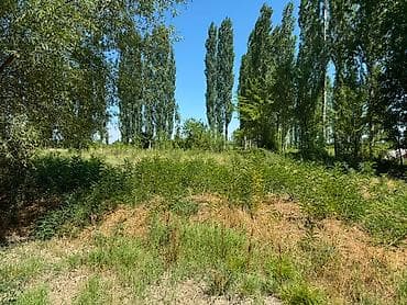 Продажа участков: 16 соток, Для строительства, Договор купли-продажи, Красная книга — 1
