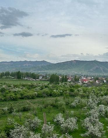 11: 1 комната, 38 м², Элитка, 11 этаж, Евроремонт — 9