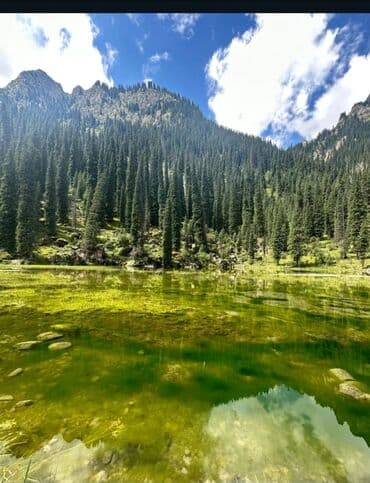 продаю дом село арашан: Дом, 75 м², 5 комнат — 42