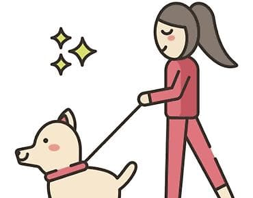 Ищу подработку; неполный рабочий день Выгуливаю собак в Бишкеке