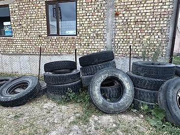 Отдам даром!
