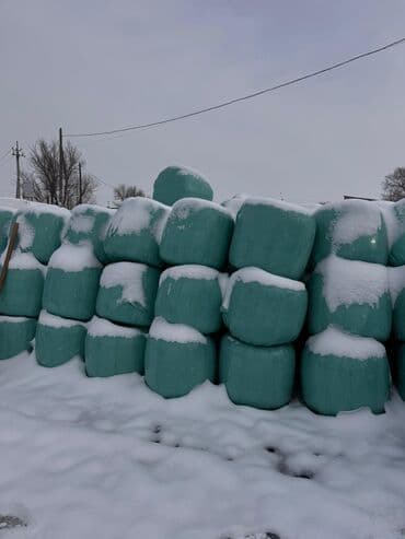 Иттер: Силос 1.5 года Россыпью 7 сом В брикетах 9 сом СВЫШЕ ТОННЫ ДОСТАВКА ПО — 4