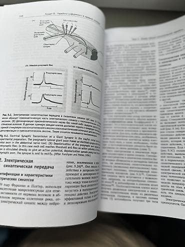 химическая: Учебник «От нейрона к мозгу». Том 1. Продаю свою книгу, одна из — 3