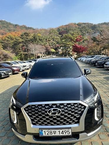 honda passport: Hyundai Palisade: 2020 г., Бензин, Кроссовер — 3