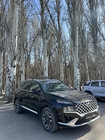 pilot honda: Hyundai Santa Fe: 2022 г., 2.5 л, Автомат, Бензин, Кроссовер — 2