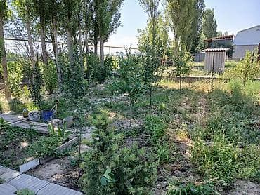 участки дома бишкек: 5 соток — 3