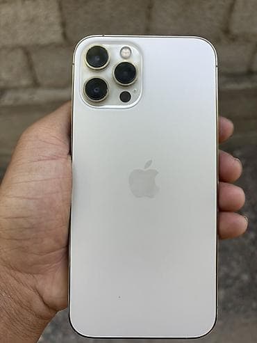 ipad 10.2 бишкек: IPhone 12 Pro Max, 512 ГБ, цвет Silver (белый) - Модель: iPhone 12 — 1