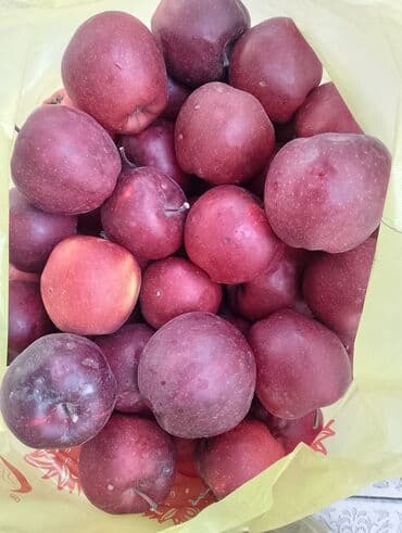 Мөмө-жемиштер: Алмалар Крипсон, Чекене — 5