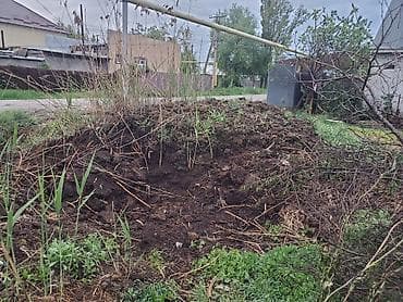 морковь кормовая: ОТДАМ ДАРОМ. Торф/перегной, плодородный грунт для участка адрес село — 3