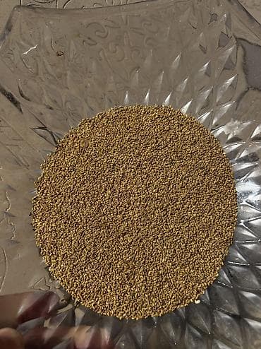 оптом сабиз: Беде урук сатылат, Беловодскийде Тазаланган даяр урук, 6 жылдык — 3