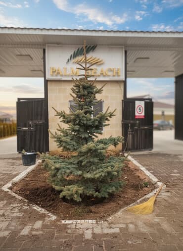 Коттедж, Палм бич ЦО Palm Beach, Чок-Тал, Детская площадка, Парковка, стоянка, Охраняемая территория