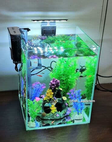 аквариумная рыбка: Аквариум- ваш собственный живой уголок в доме. Отлично подойдёт на — 2