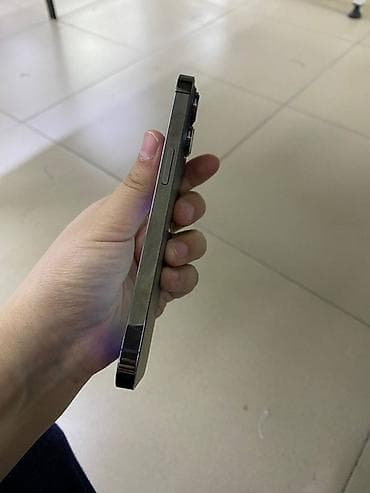 Apple iPhone: IPhone 13 Pro, 256 ГБ, Графит — 5