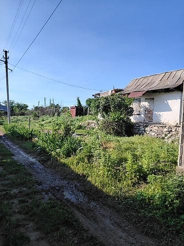 дом под бизнес: Продается земельный участок с жилым домом (садоводческое товарищество — 4
